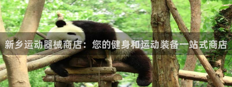 凯时登录：新乡运动器械商店：您的健身和运动装备一站式商店